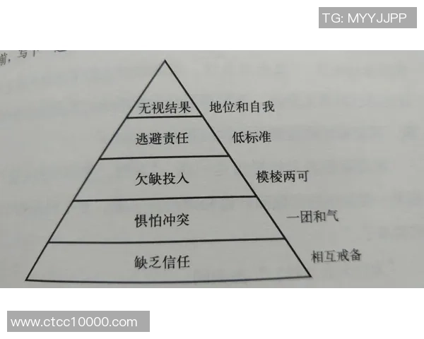 杭州篮球队杯赛精彩表现分析团队协作的重要性与未来发展方向